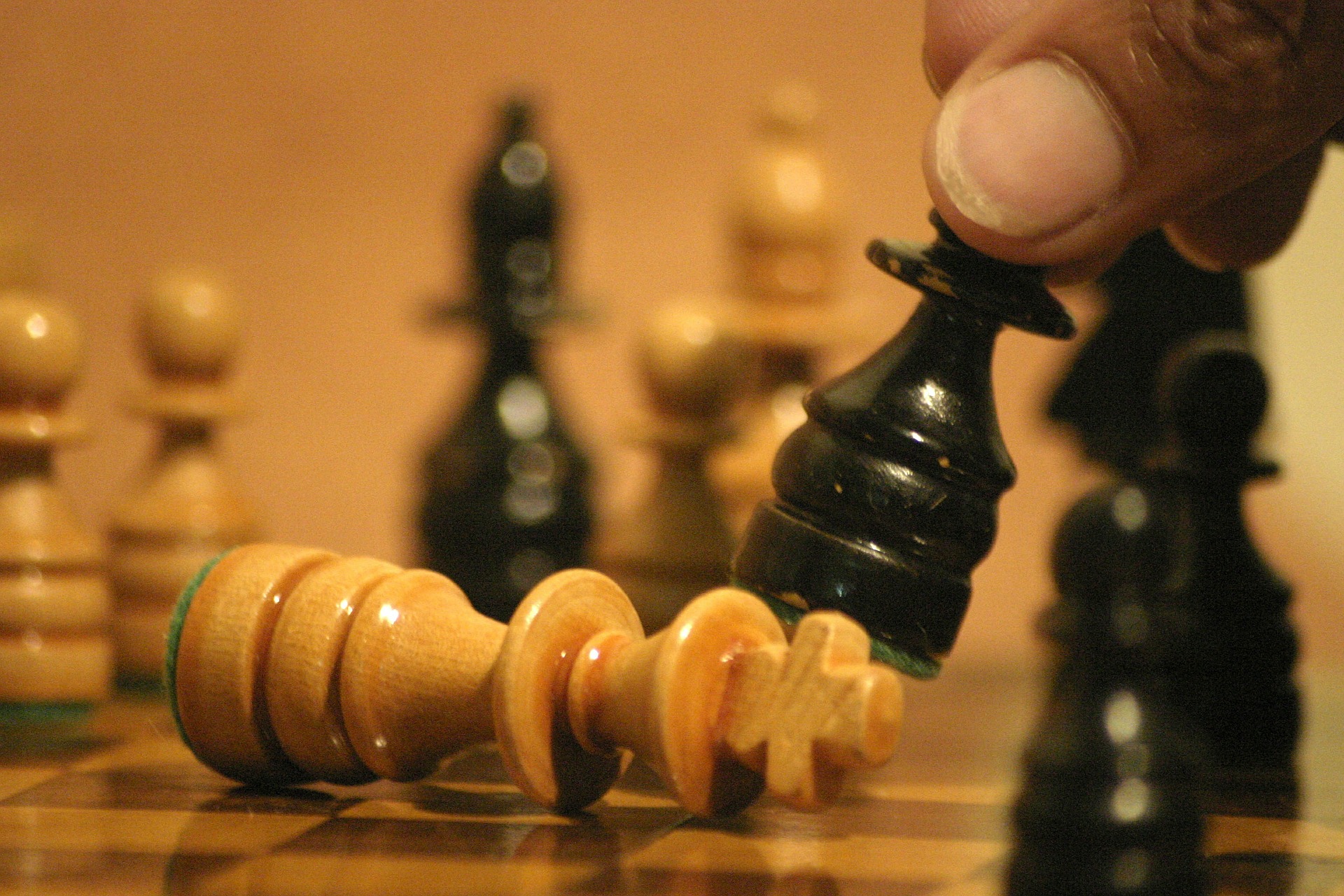 The Value of Chess Pieces 